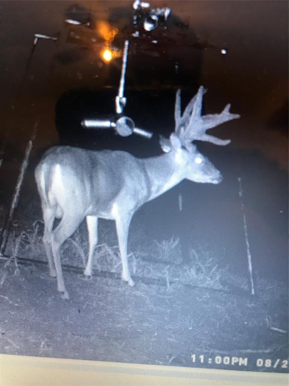 2435 County Road 247 Property Photo 37