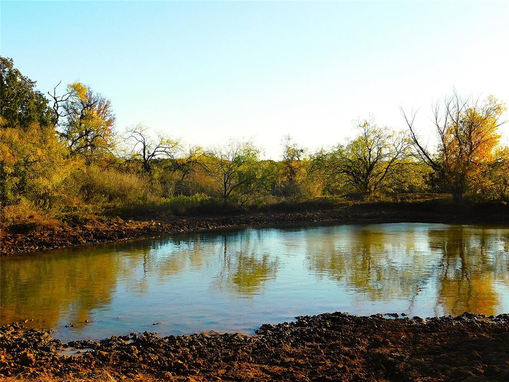 Tbd County Road 131 Property Photo 1