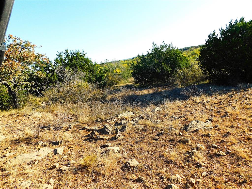 Tbd County Road 131 Property Photo 3