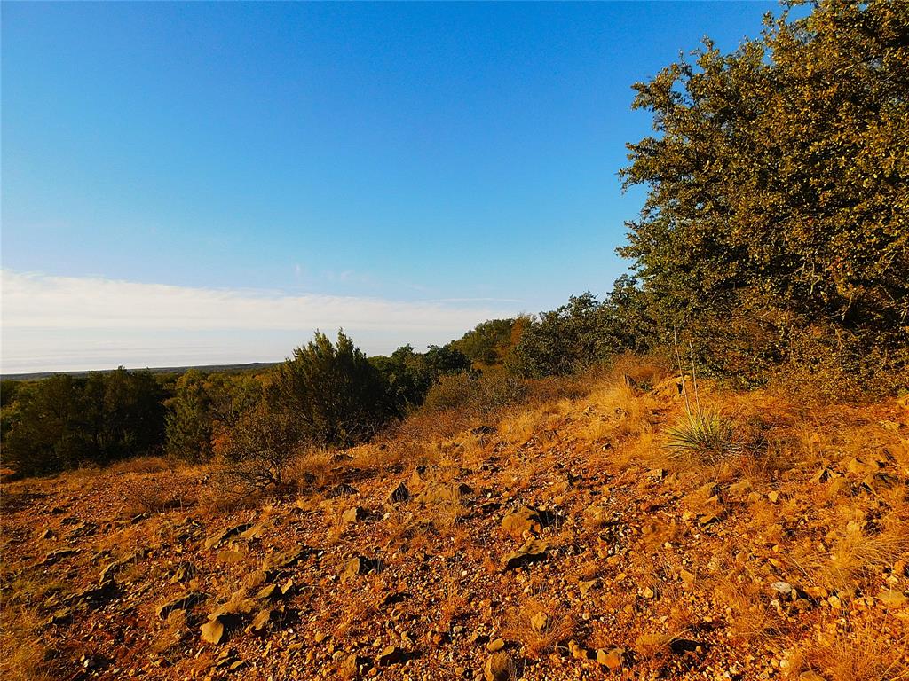 Tbd County Road 131 Property Photo 4