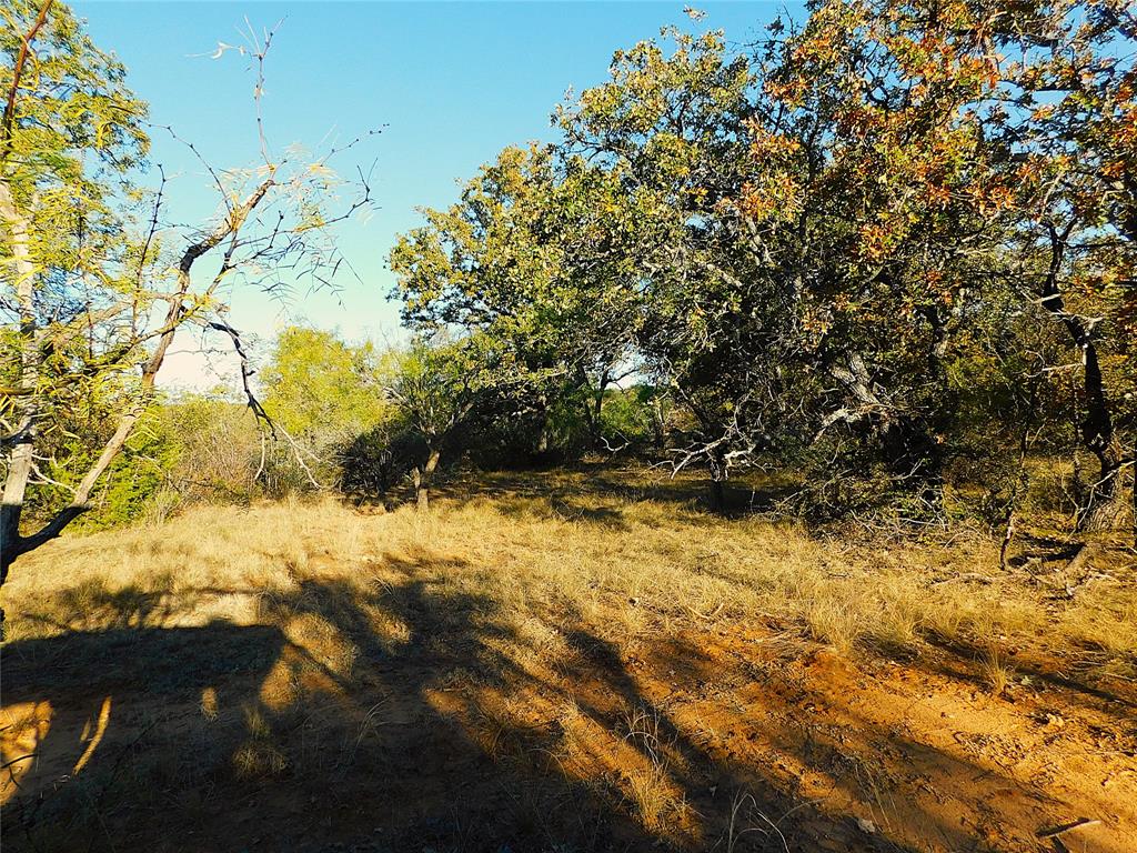 Tbd County Road 131 Property Photo 6