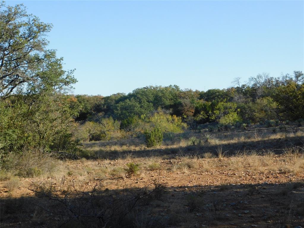 Tbd County Road 131 Property Photo 17