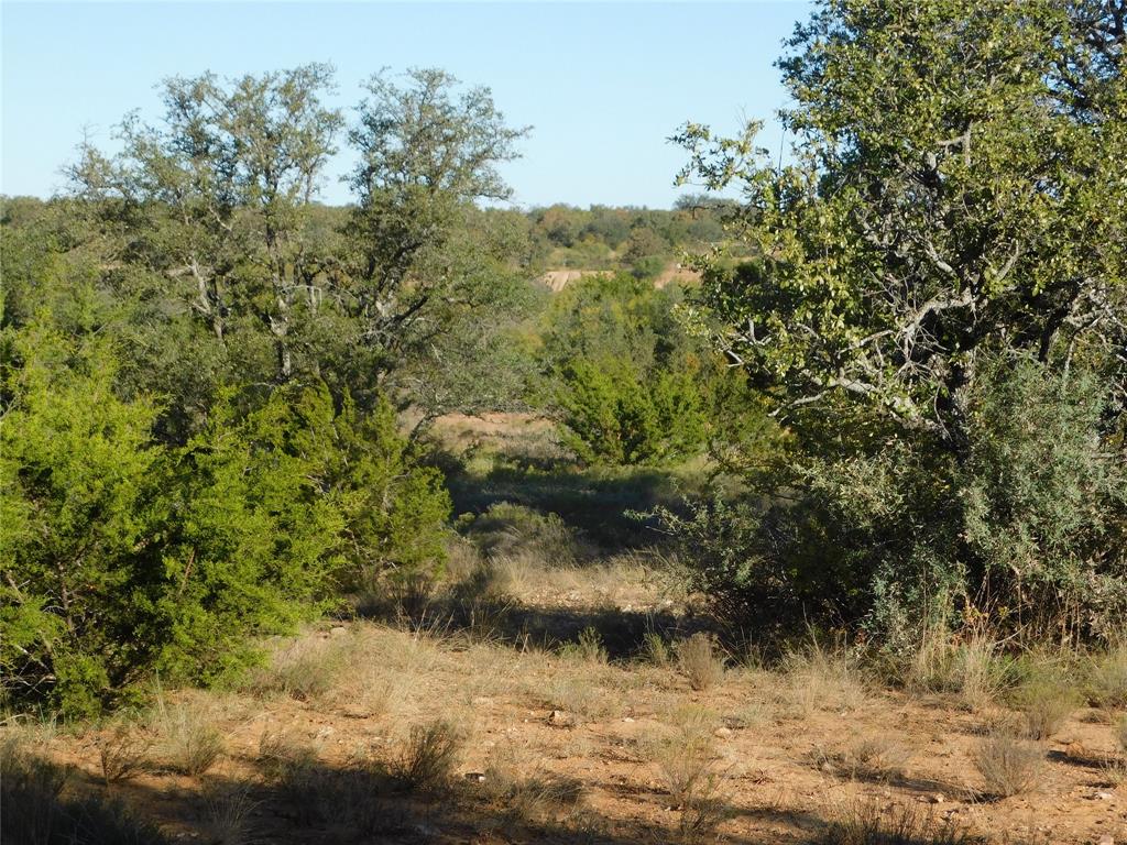 Tbd County Road 131 Property Photo 18
