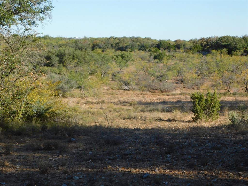 Tbd County Road 131 Property Photo 19