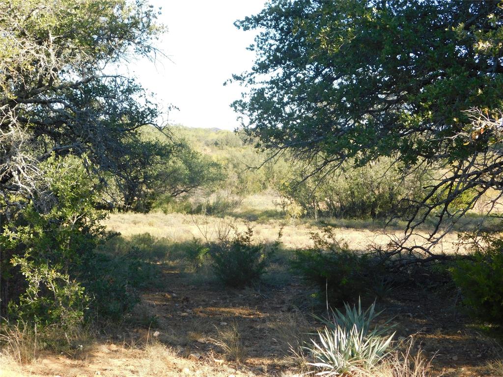 Tract 4 County Road 131 Property Photo 10