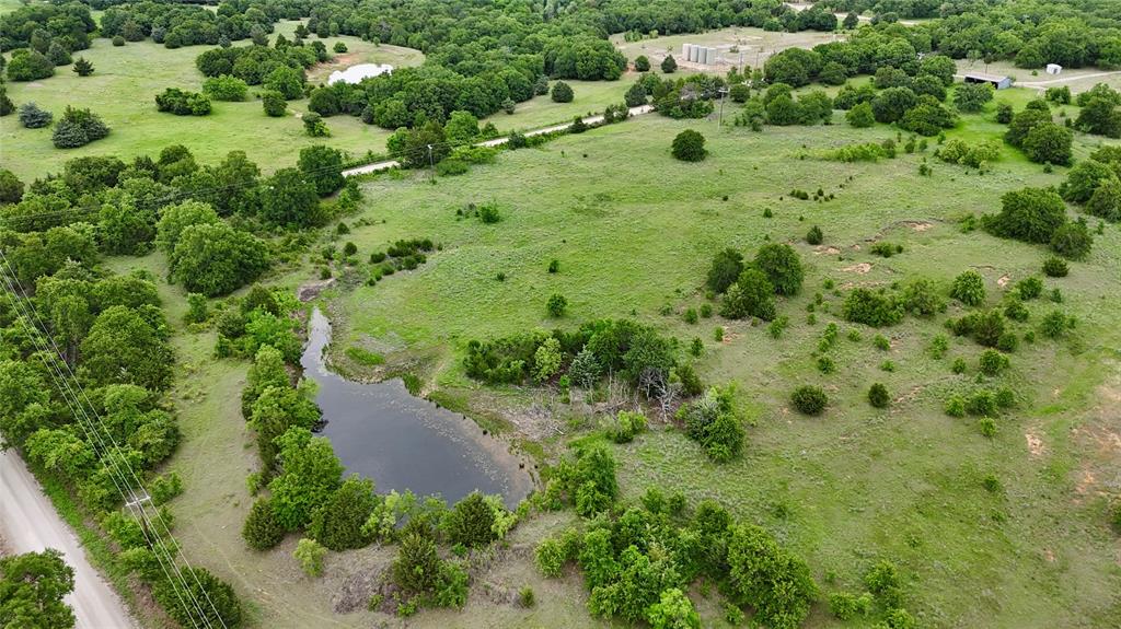 2753 Big Tree Road Property Photo 1