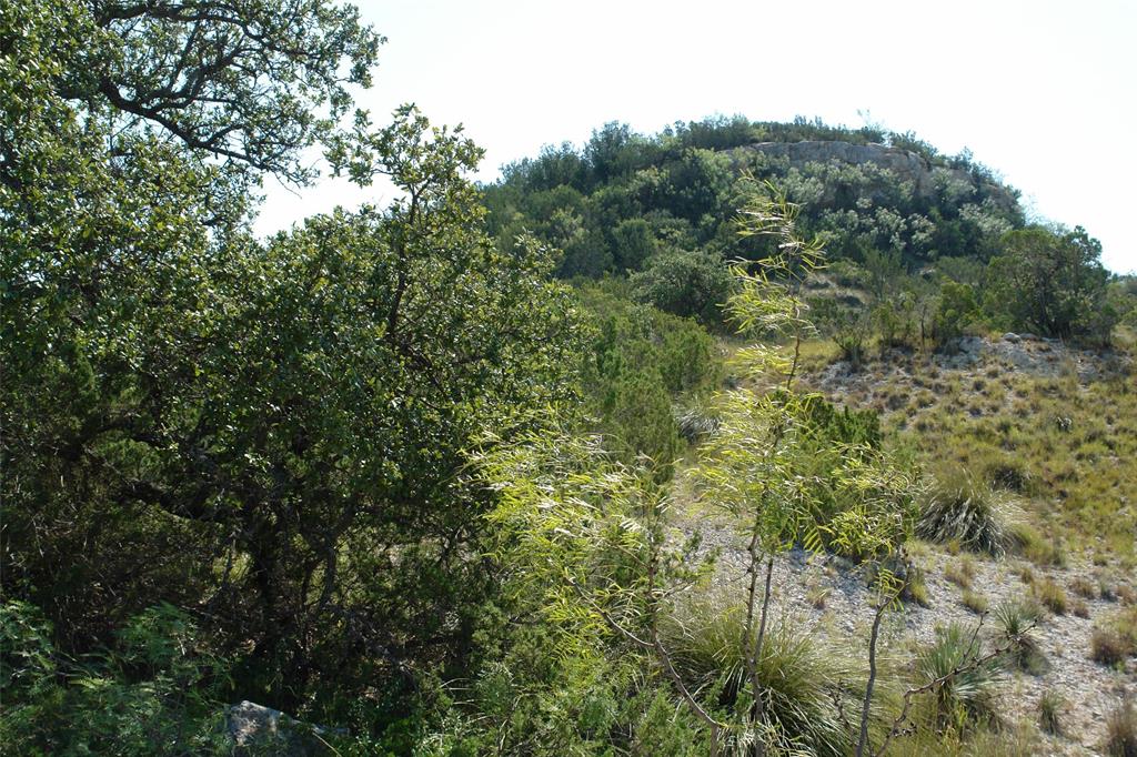 0002 Cr 146 Property Photo 15