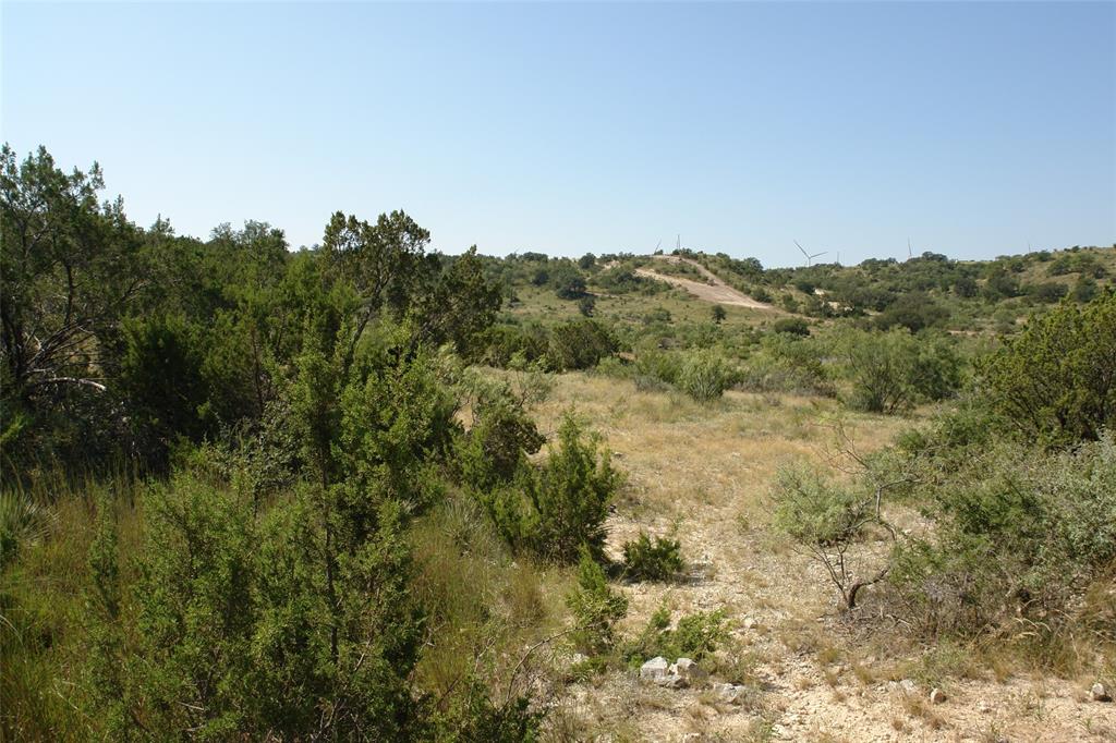 0002 Cr 146 Property Photo 16