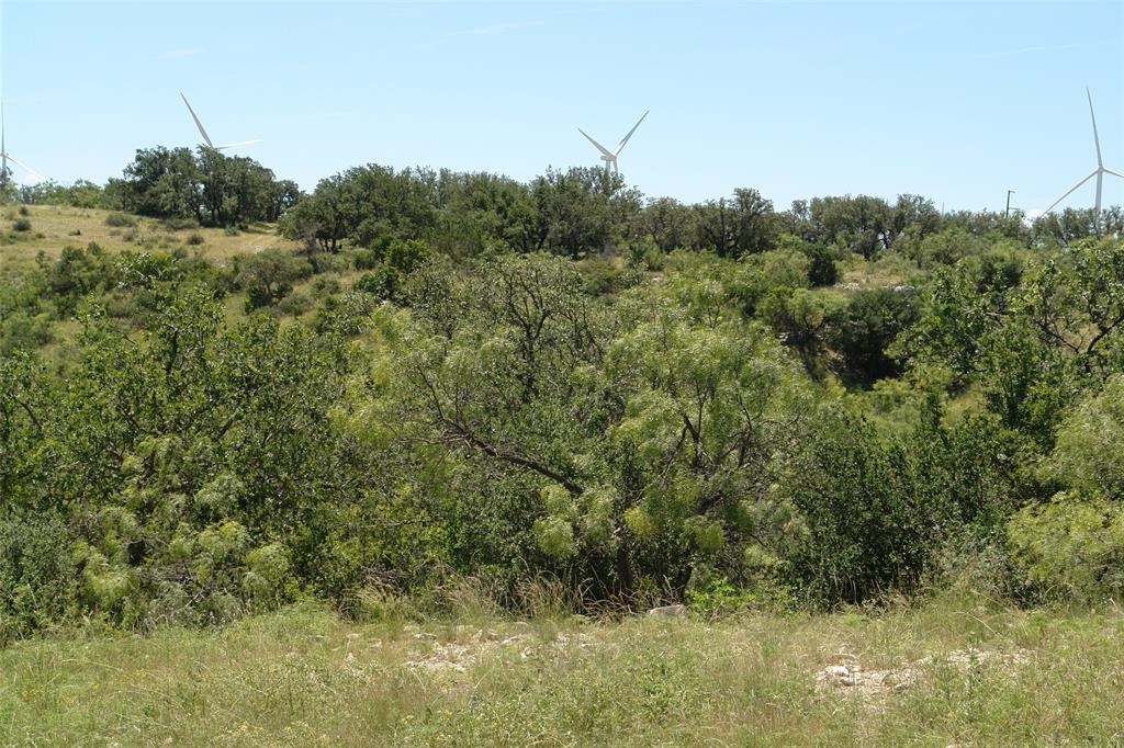 0003 Cr 146 Property Photo 3