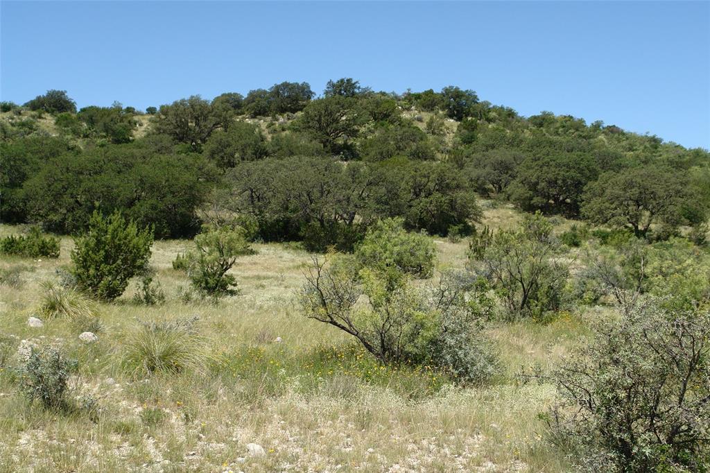 0003 Cr 146 Property Photo 8