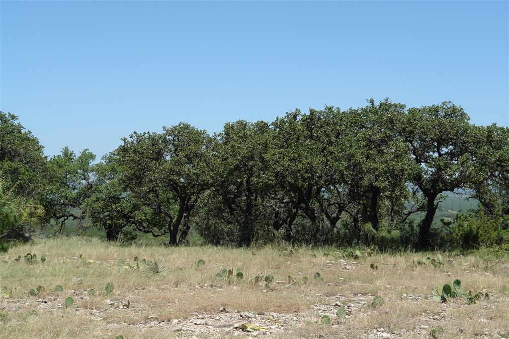 0003 Cr 146 Property Photo 13