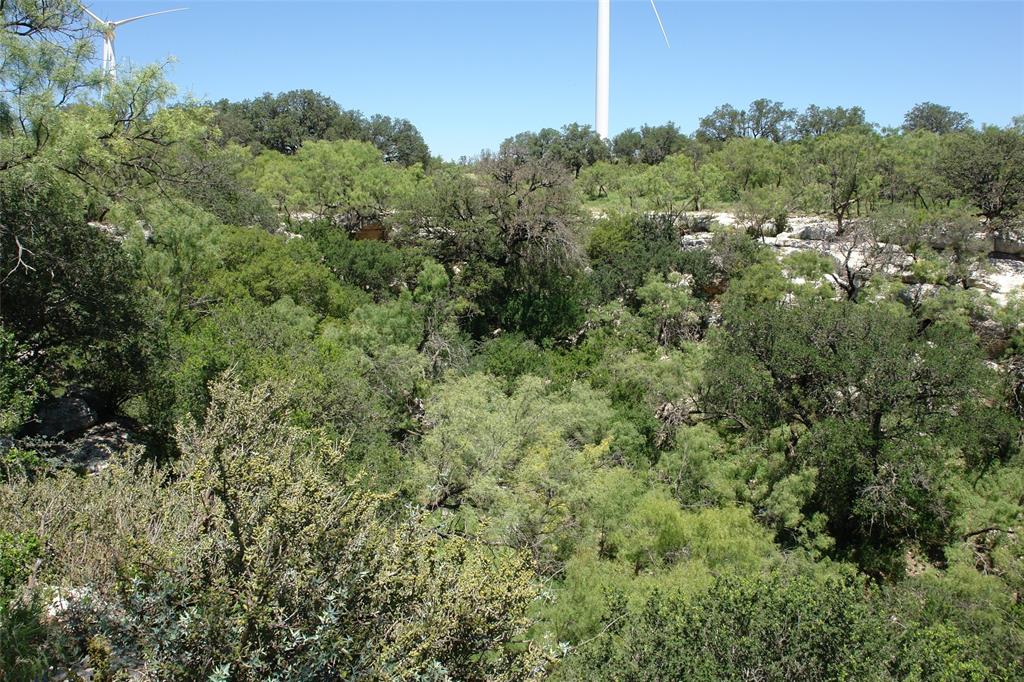 0003 Cr 146 Property Photo 17