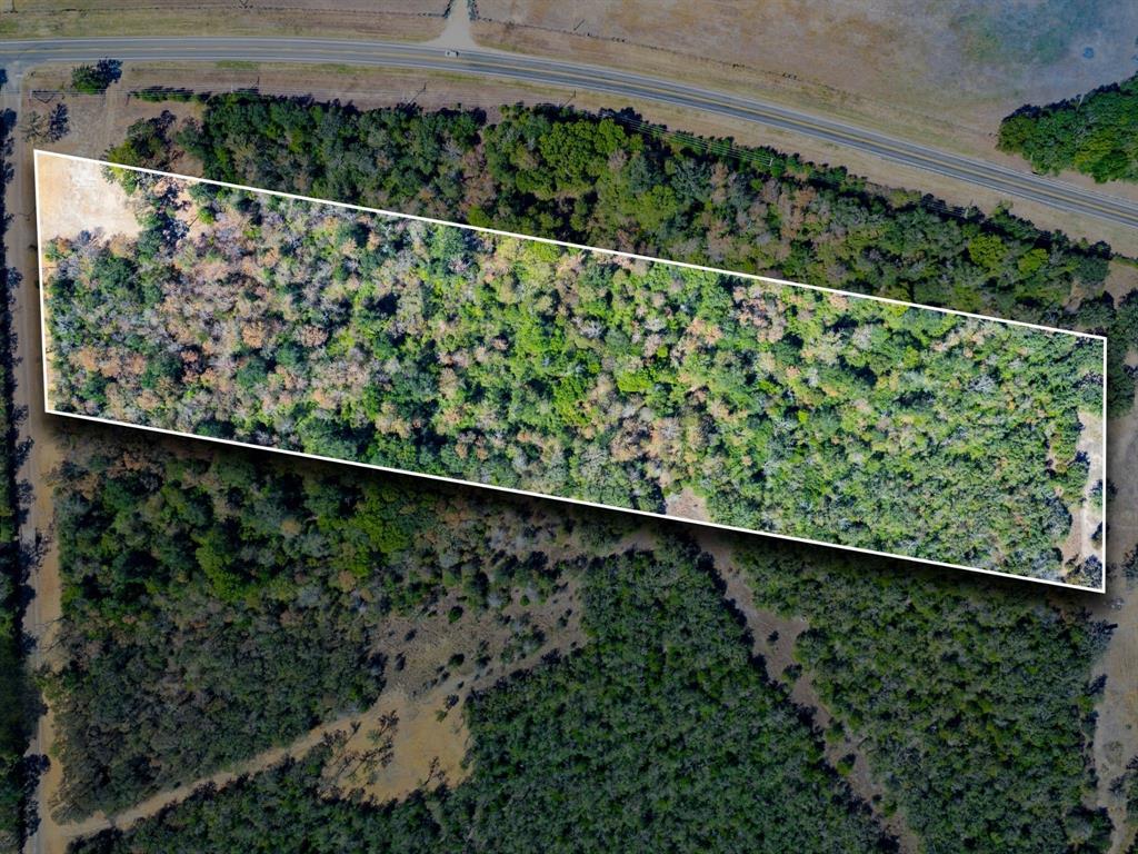 12047 County Road 414 Property Photo 10