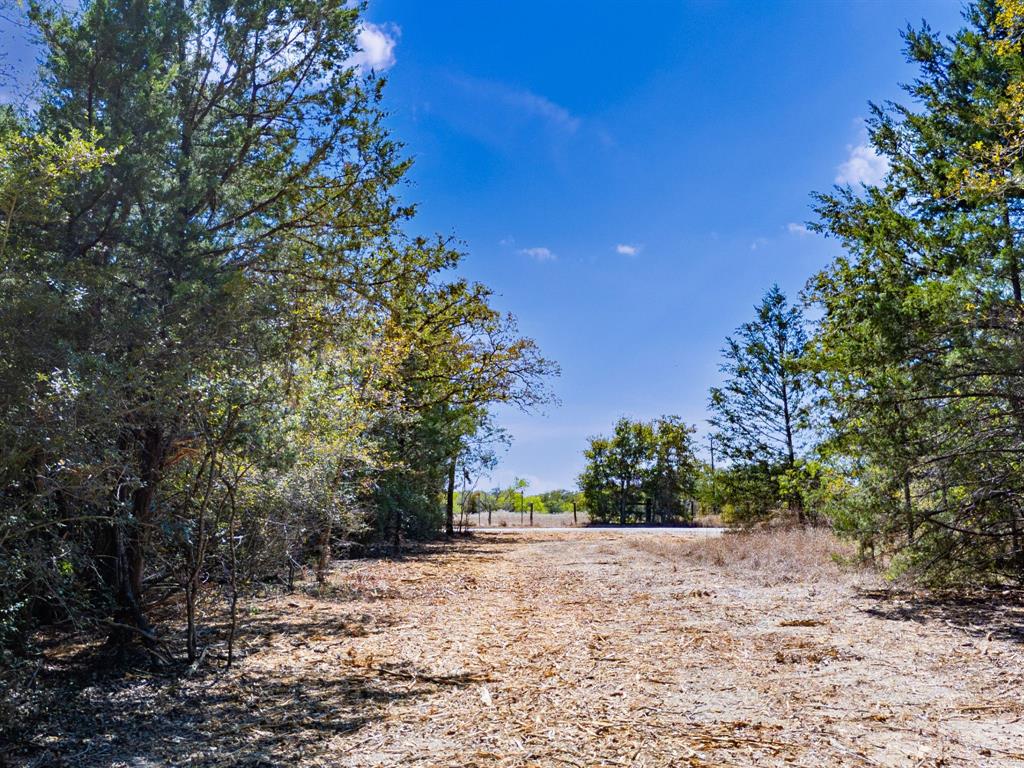 12345 Country Road 414 Property Photo 4