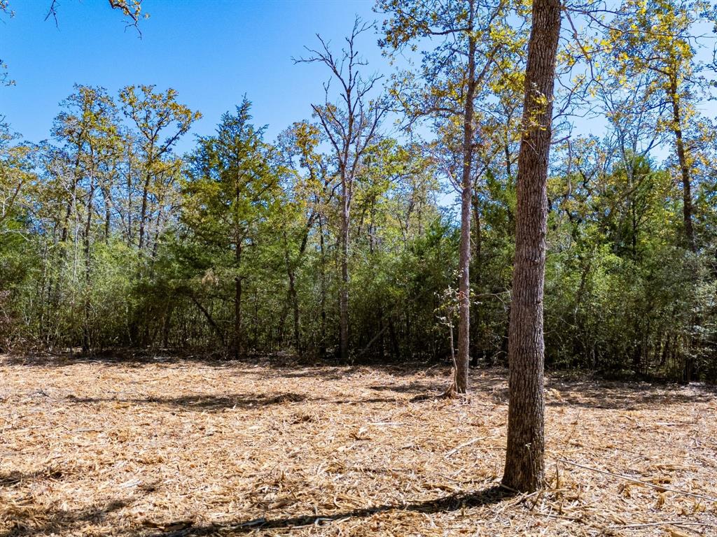 12345 Country Road 414 Property Photo 15