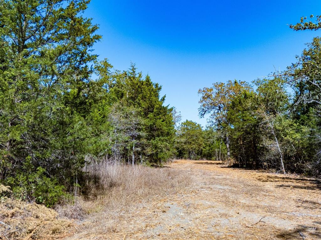 12345 Country Road 414 Property Photo 16