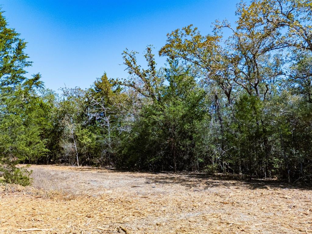 12345 Country Road 414 Property Photo 17