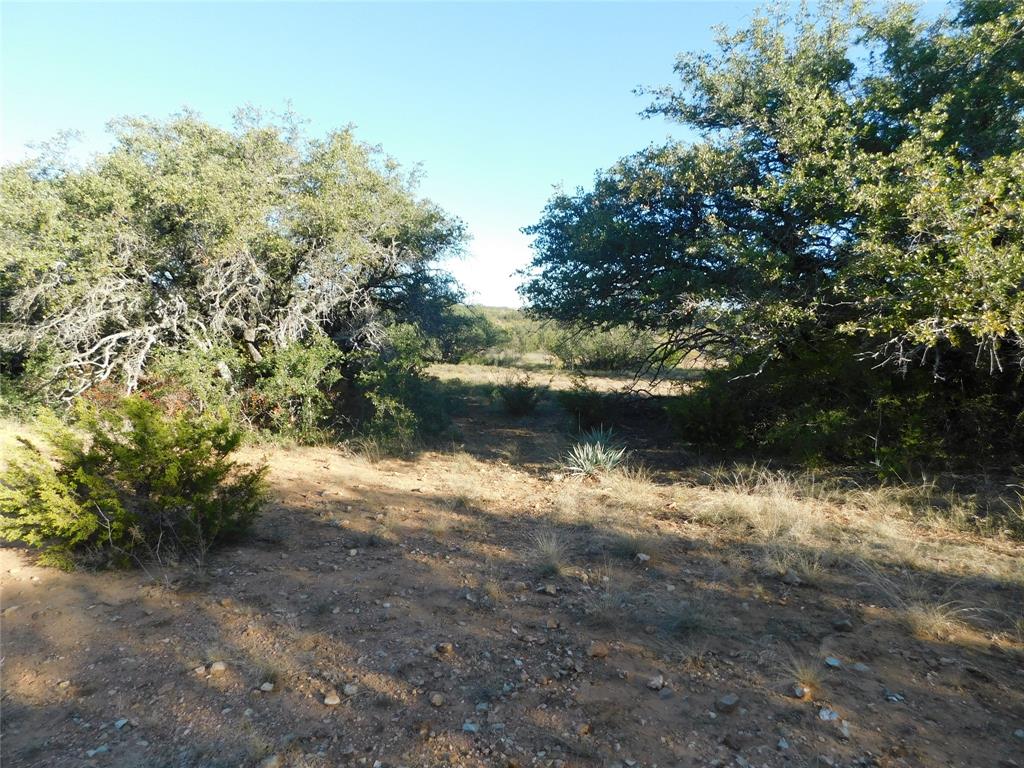 Tract 3 County Road 131 Property Photo 6
