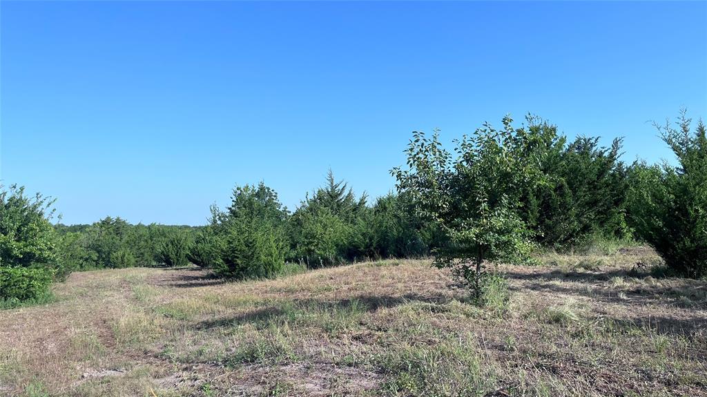 Tract 2, Key Road Property Photo 5