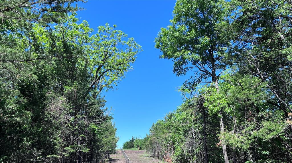 Tract 2, Key Road Property Photo 14