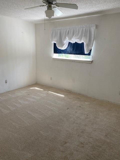 523 Softwood Drive Property Photo 6