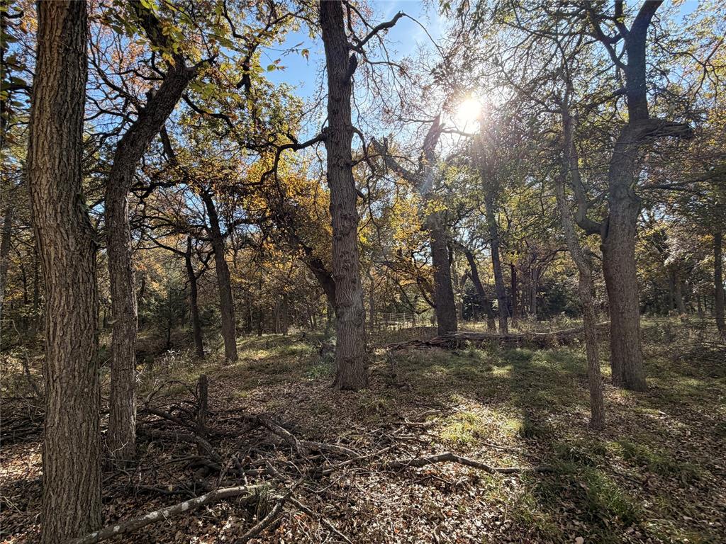 Tbd Fm 1655 Property Photo 10