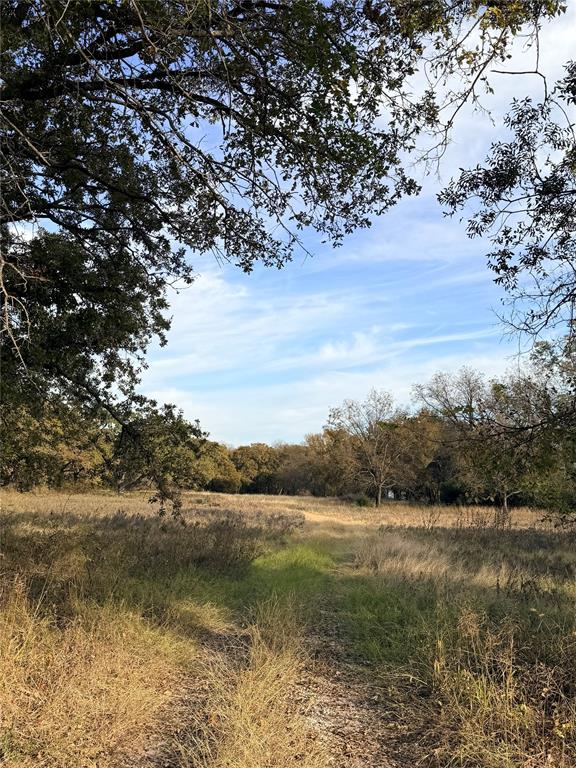 Tbd Fm 1655 Property Photo 15