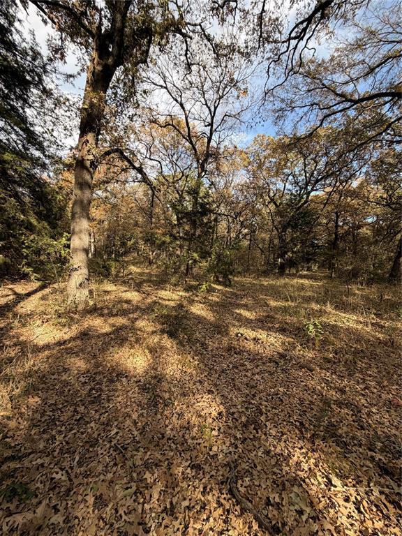 Tbd Fm 1655 Property Photo 16
