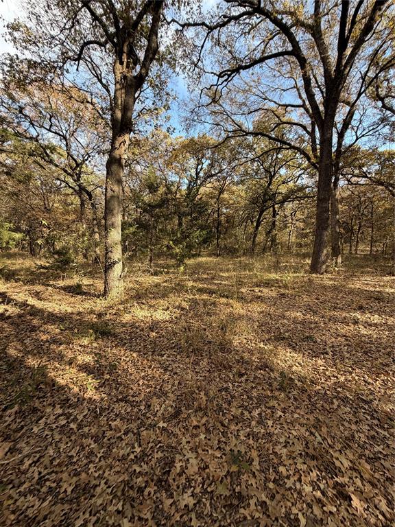 Tbd Fm 1655 Property Photo 17