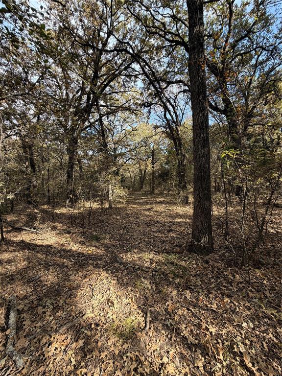 Tbd Fm 1655 Property Photo 18