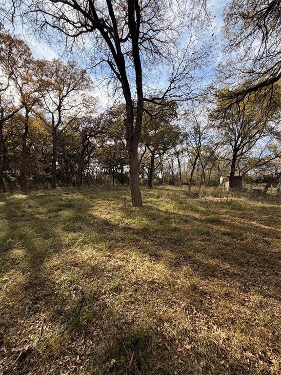 Tbd Fm 1655 Property Photo 20