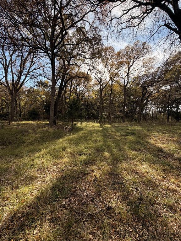 Tbd Fm 1655 Property Photo 21