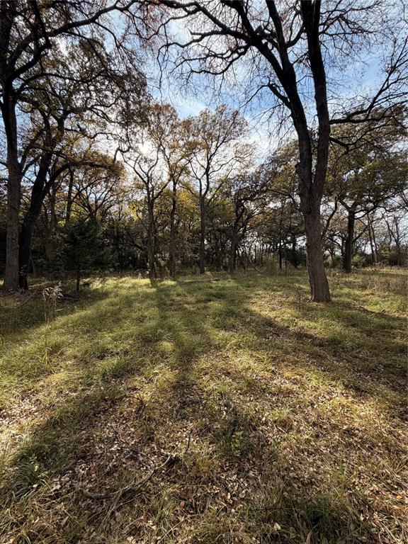 Tbd Fm 1655 Property Photo 22