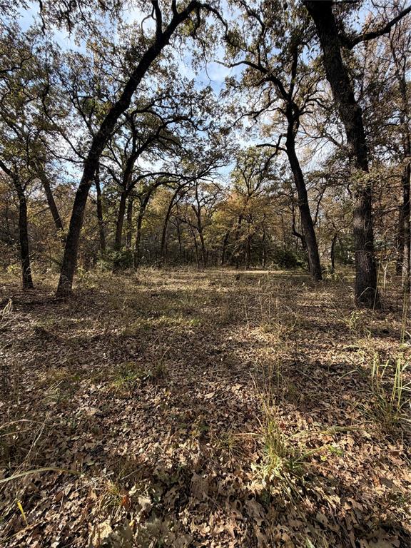 Tbd Fm 1655 Property Photo 23
