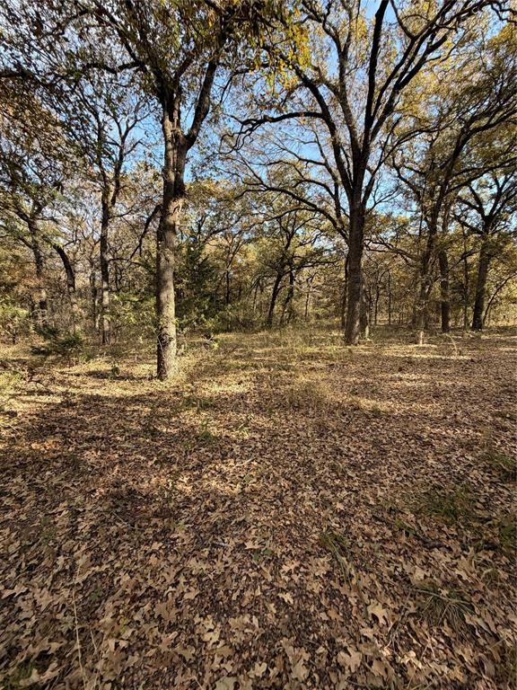 Tbd Fm 1655 Property Photo 25