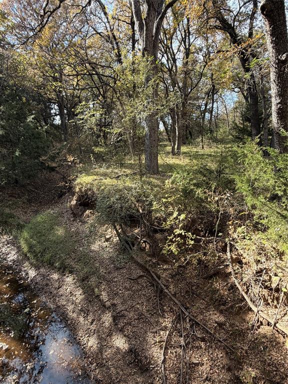 Tbd Fm 1655 Property Photo 27