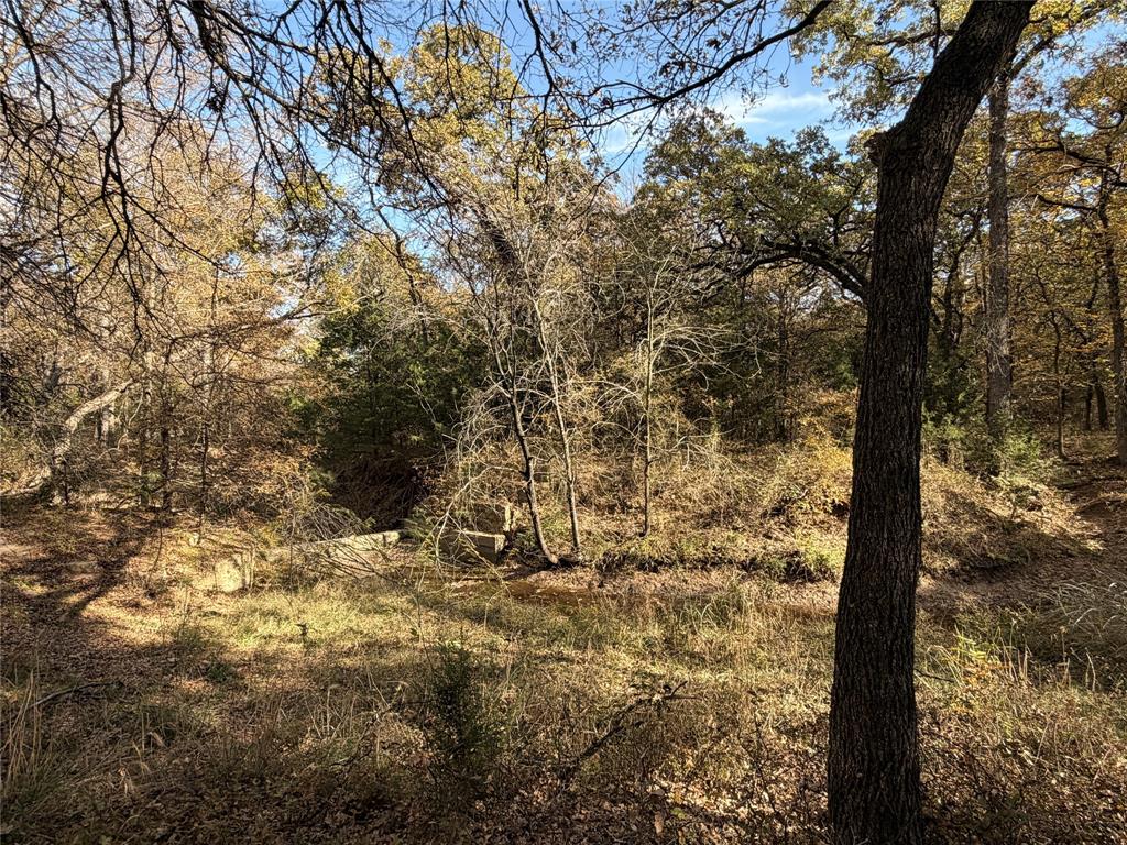 Tbd Fm 1655 Property Photo 30