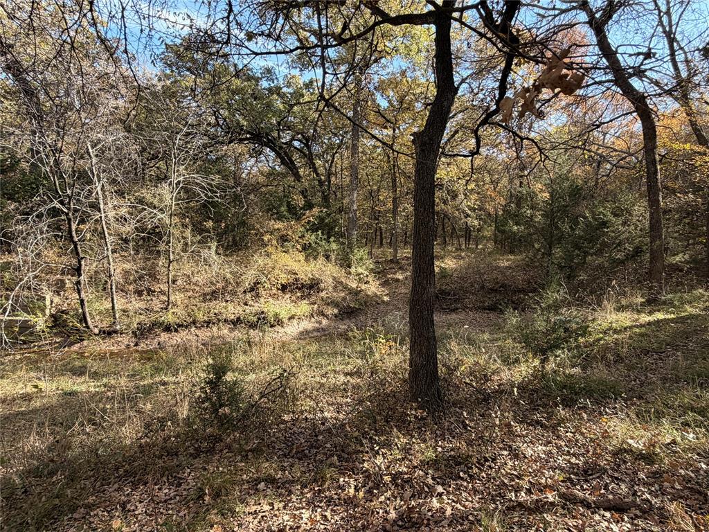 Tbd Fm 1655 Property Photo 31
