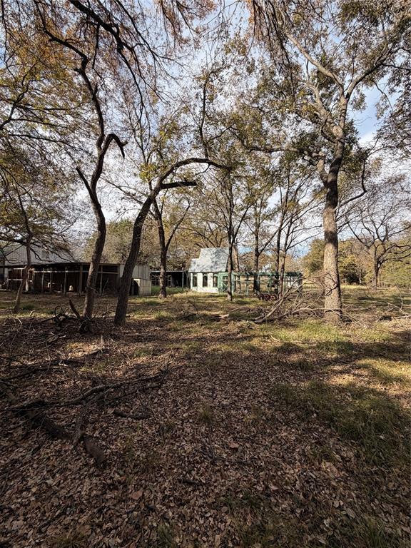 Tbd Fm 1655 Property Photo 32
