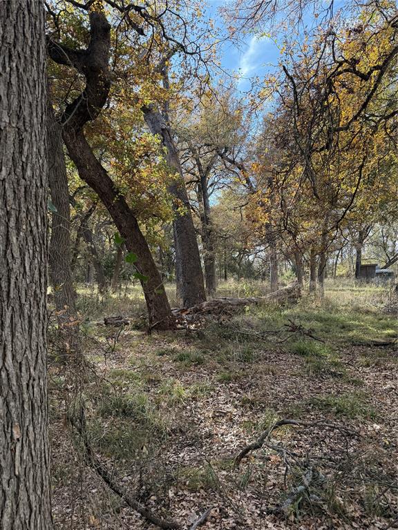 Tbd Fm 1655 Property Photo 33