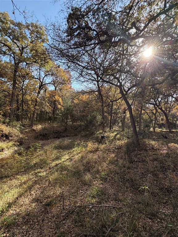 Tbd Fm 1655 Property Photo 34