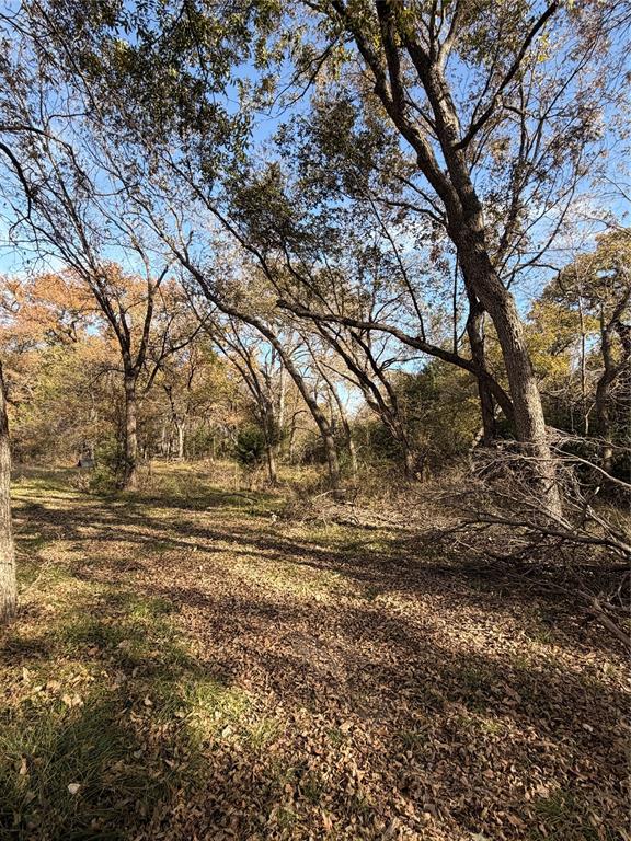 Tbd Fm 1655 Property Photo 35