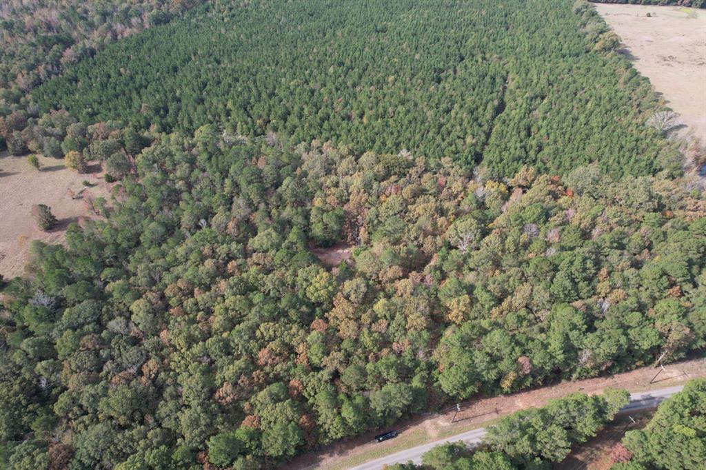 Tbd-a Boggy Road Property Photo 3