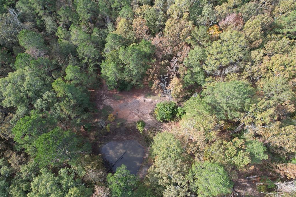 Tbd-a Boggy Road Property Photo 4