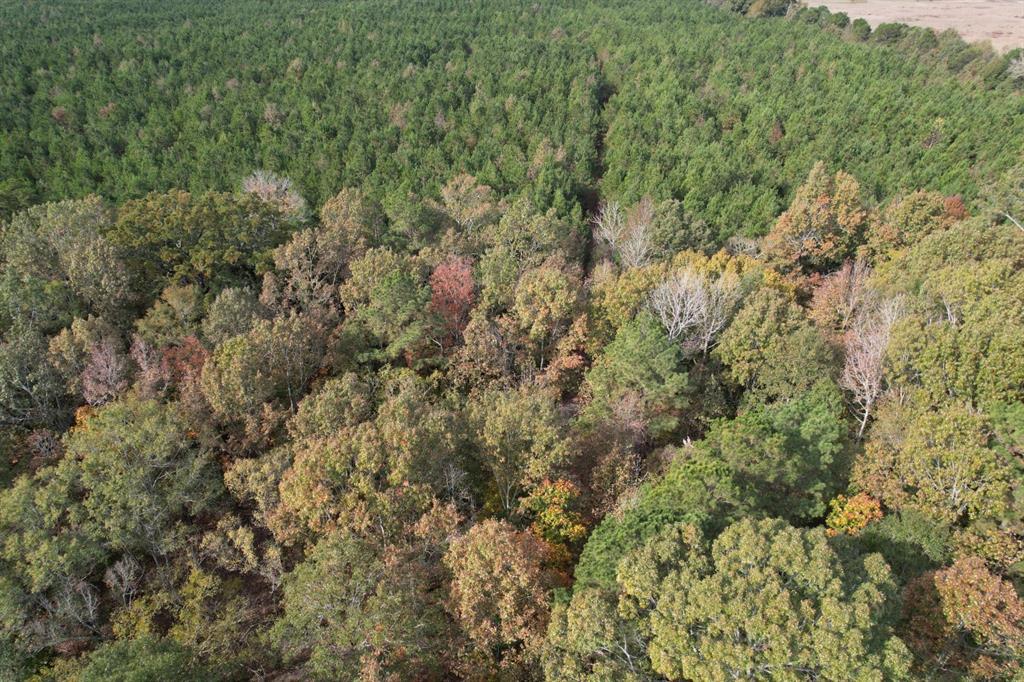 Tbd-a Boggy Road Property Photo 5