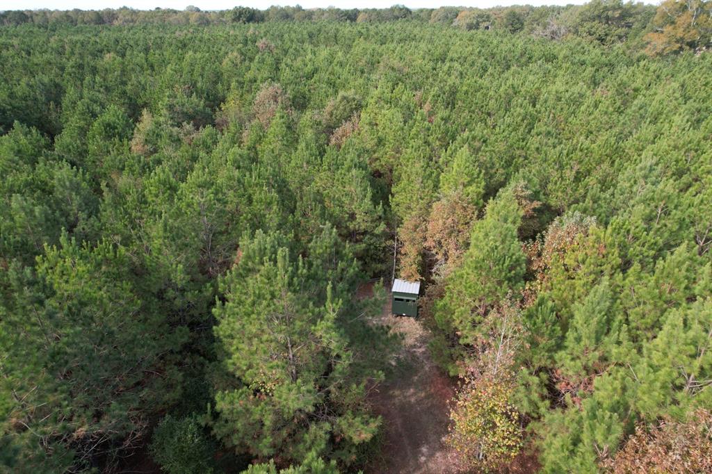 Tbd-a Boggy Road Property Photo 7