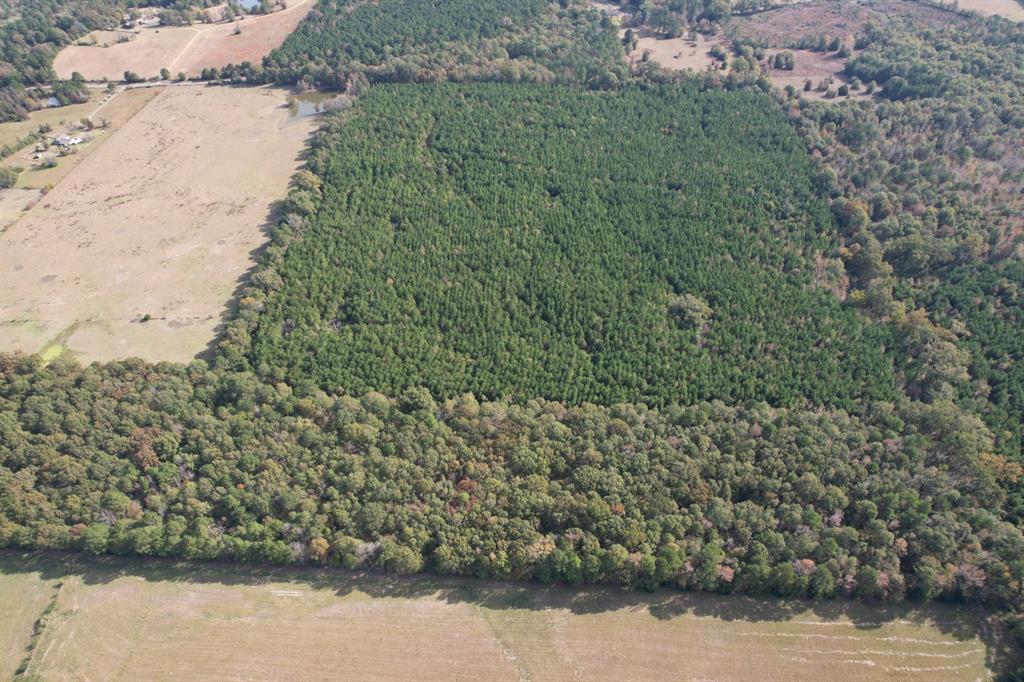 Tbd-a Boggy Road Property Photo 8