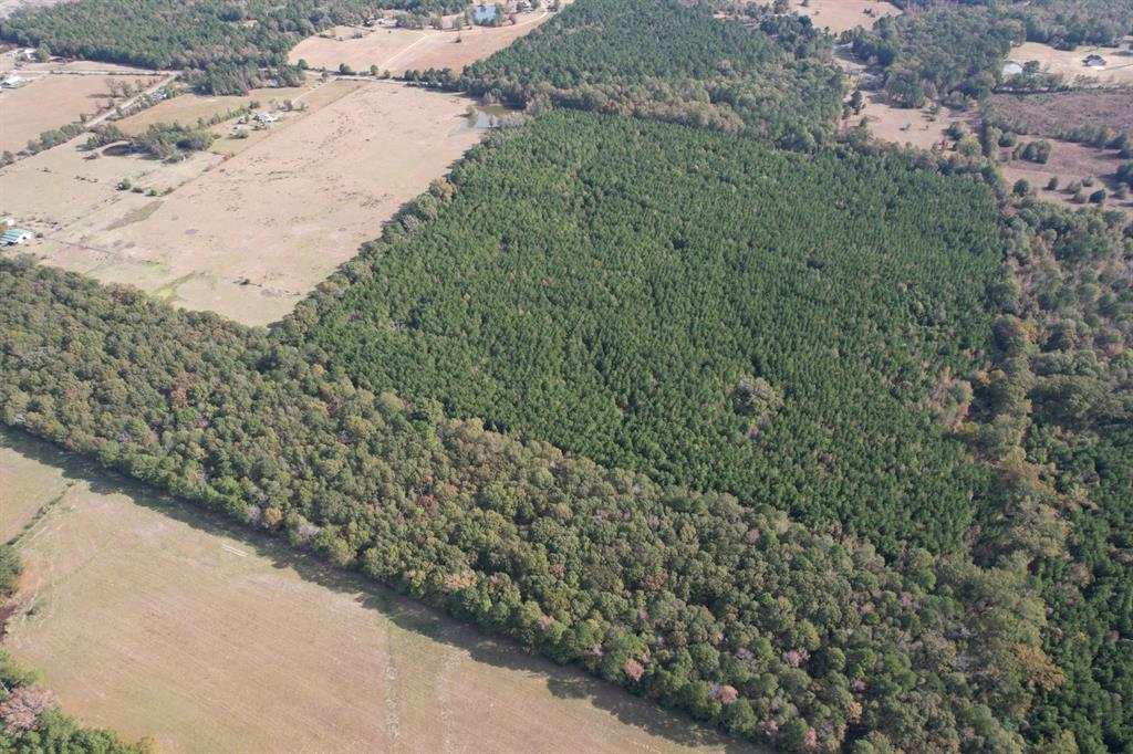 Tbd-a Boggy Road Property Photo 9