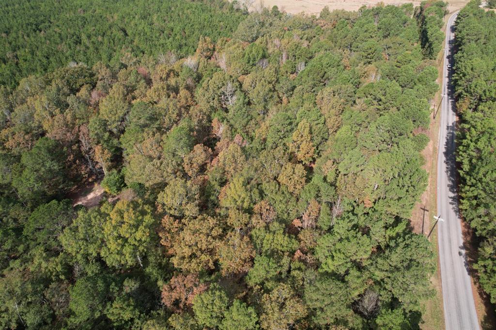 Tbd-a Boggy Road Property Photo 11