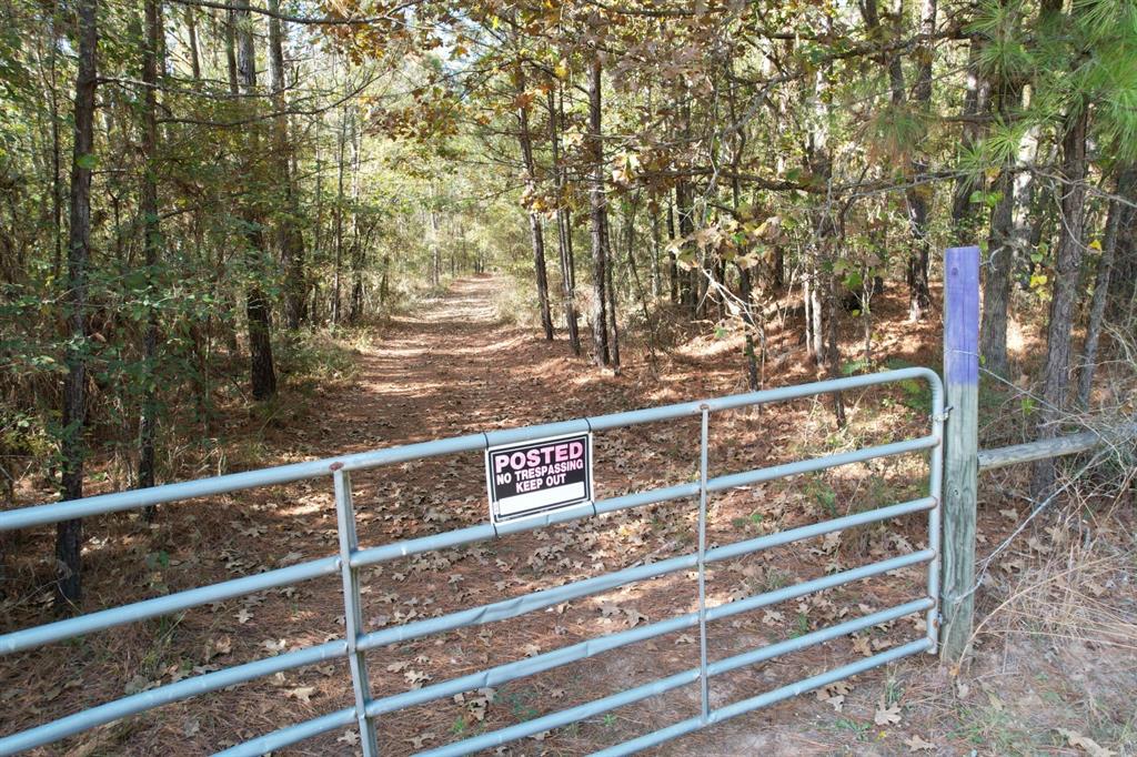 Tbd-a Boggy Road Property Photo 12